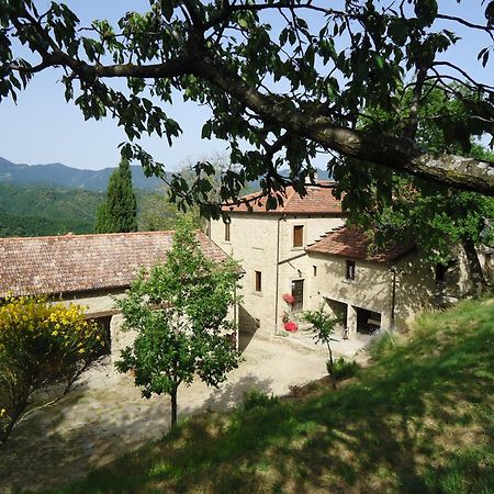 Villa Agriturismo I Monti Di Salecchio Palazzuolo Sul Senio Exterior foto