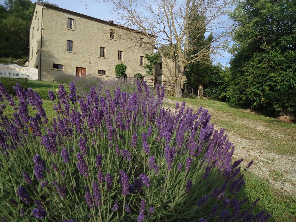 Villa Agriturismo I Monti Di Salecchio Palazzuolo Sul Senio Exterior foto