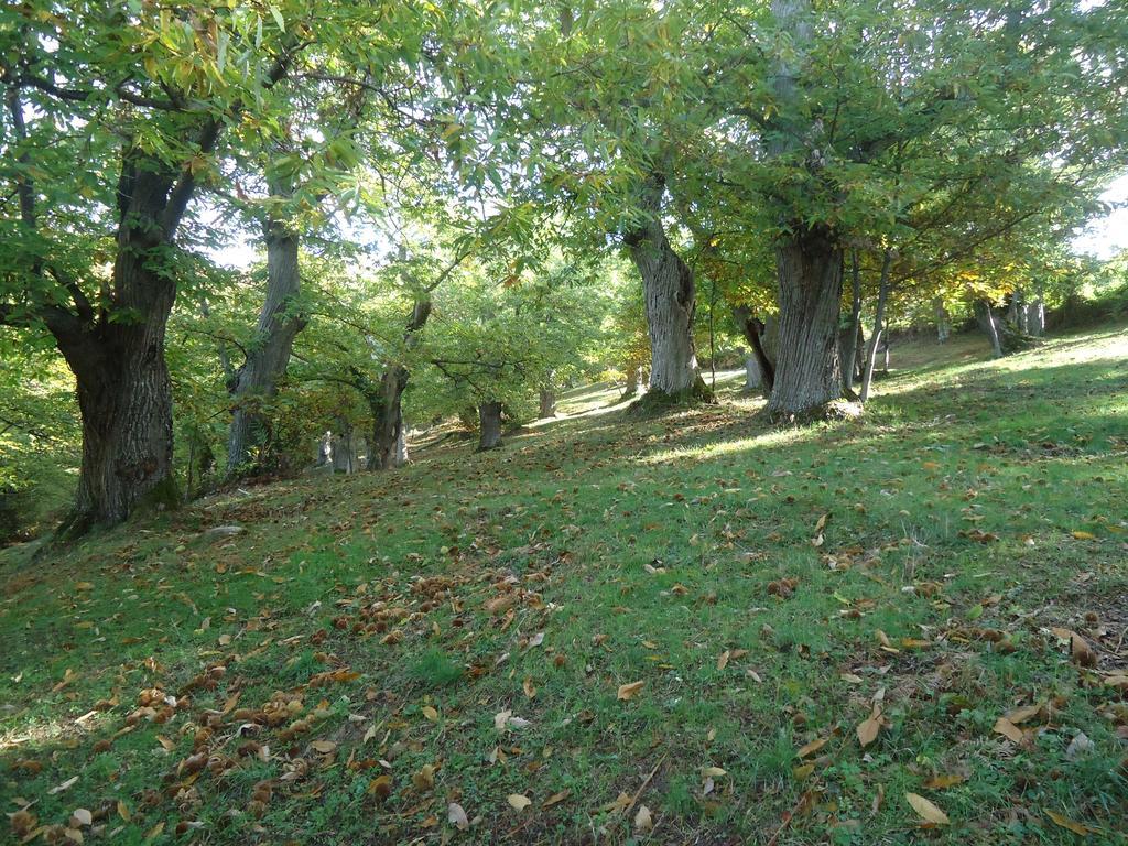 Villa Agriturismo I Monti Di Salecchio Palazzuolo Sul Senio Exterior foto