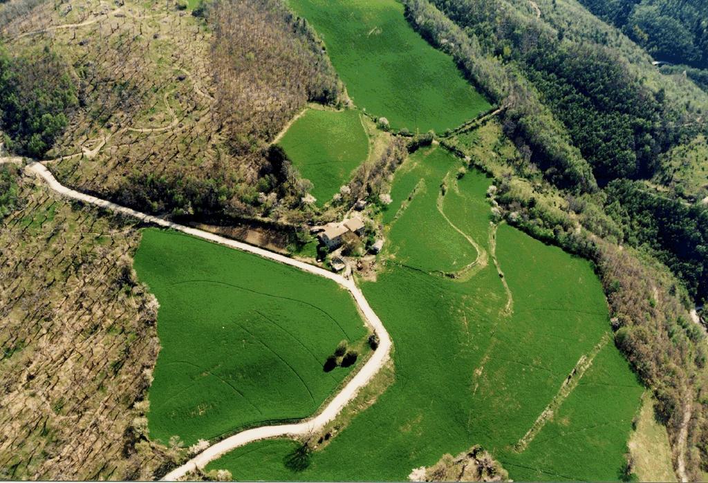 Villa Agriturismo I Monti Di Salecchio Palazzuolo Sul Senio Exterior foto