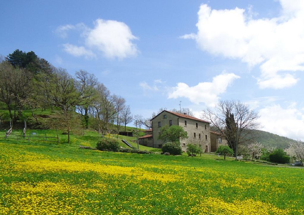 Villa Agriturismo I Monti Di Salecchio Palazzuolo Sul Senio Exterior foto